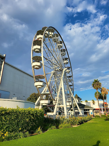 The Pike Ferris Wheel & Carousel