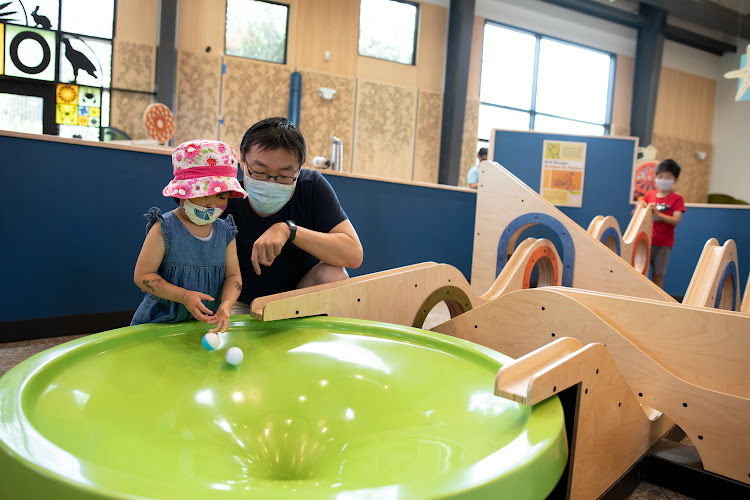 Palo Alto Junior Museum and Zoo