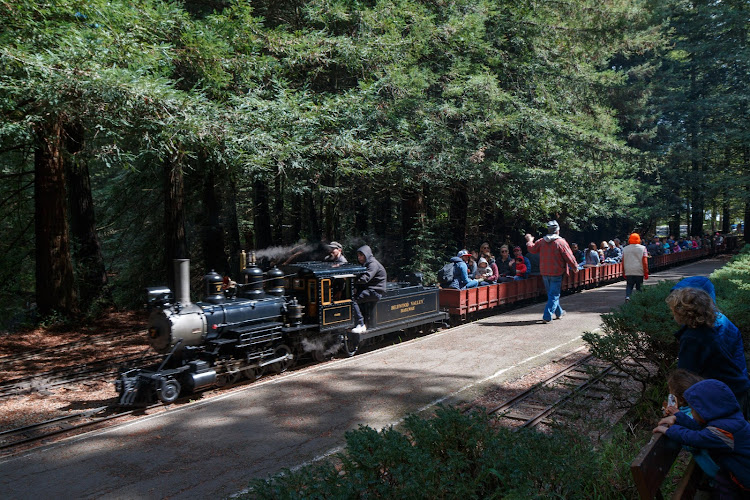 Tilden Park Steam Train at the Redwood Valley Railway