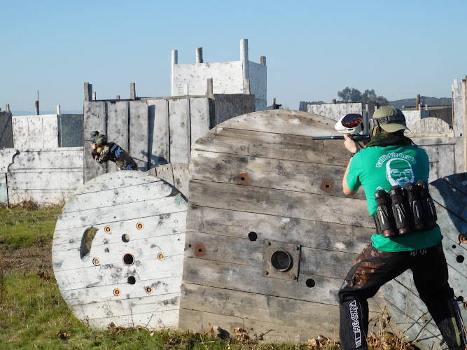 Davis Paintball