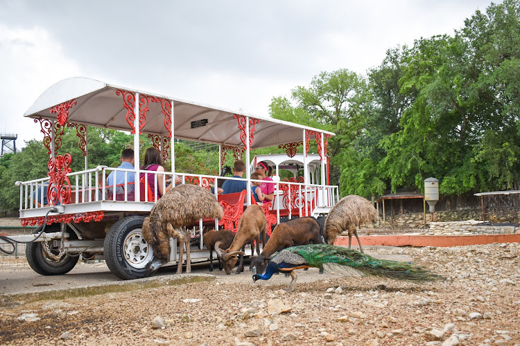 Wonder World Cave & Adventure Park