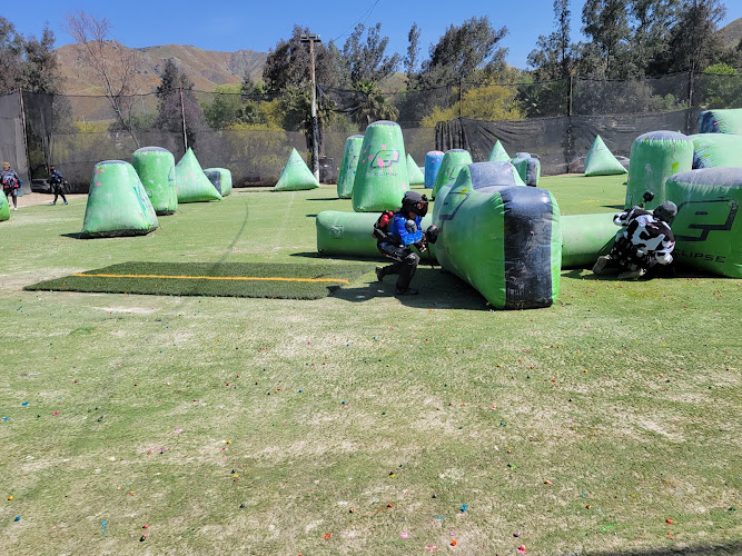 Jungle Island Paintball