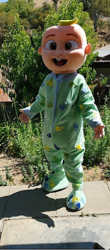 Parties for Kids! Birthday Characters Clown Pony Petting Zoo Magicians Bouncers