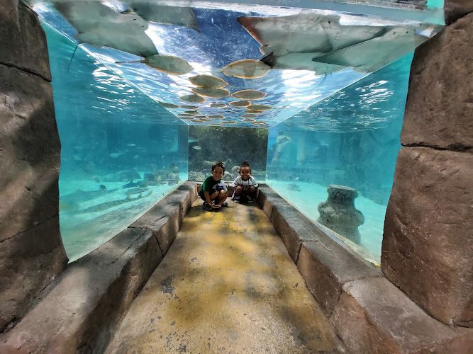 NorCal Aquarium & Wildlife