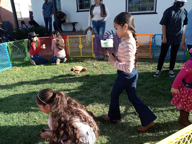 Pickles the pony (mobile rental)